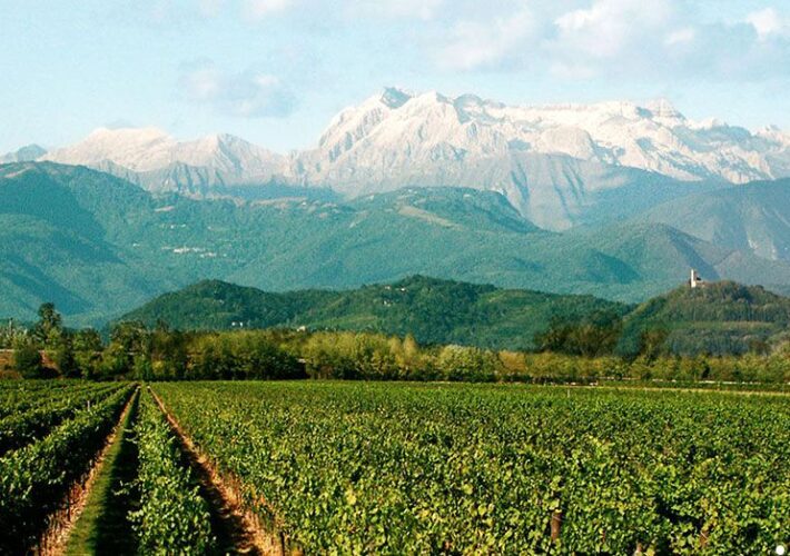 Congresso Regionale ANDI Friuli-Venezia Giulia: “Il contenzioso ed i rischi quotidiani connessi all’attività odontoiatrica, come prevenirli o gestirli in serenità”