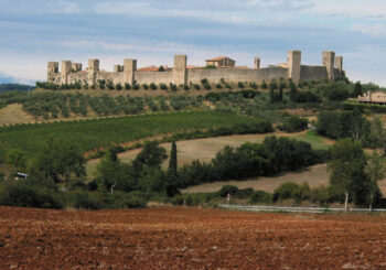 ANDI Siena – “Le alterazioni della saliva: approccio logico al problema”